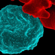 Illustration for article titled The Downside Of Eliminating A Possible Ethnic Bioweapon